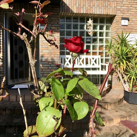 Apartment 1 A Loft 5 Pers Familie 100qm Terrasse Duesselkdorf Koeln