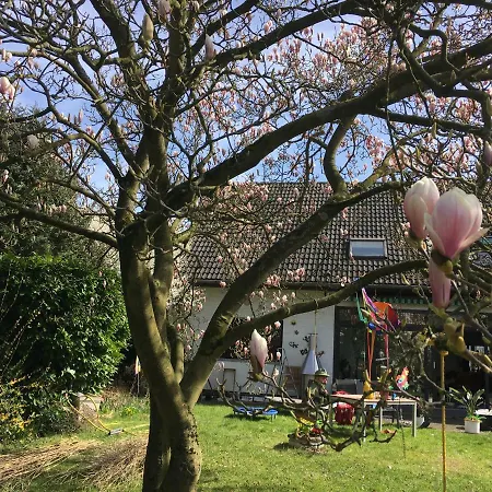 公寓 1 A Loft 5 Pers Familie 100qm Terrasse Duesselkdorf Koeln 卡尔斯特