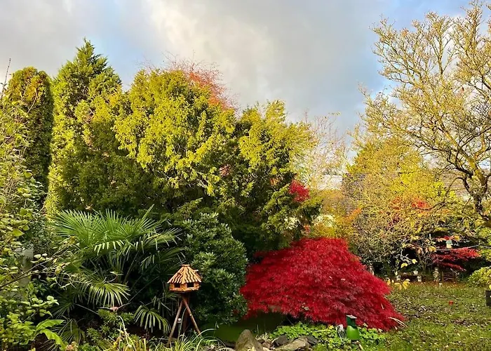 Lejlighed 1 A Loft 5 Pers Familie 100qm Terrasse Duesselkdorf Koeln *