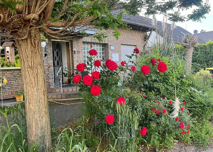 1 A Loft 5 Pers Familie 100qm Terrasse Duesselkdorf Koeln Lejlighed Kaarst