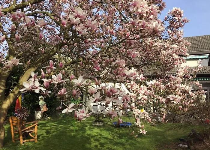 Lejlighed 1 A Loft 5 Pers Familie 100qm Terrasse Duesselkdorf Koeln *