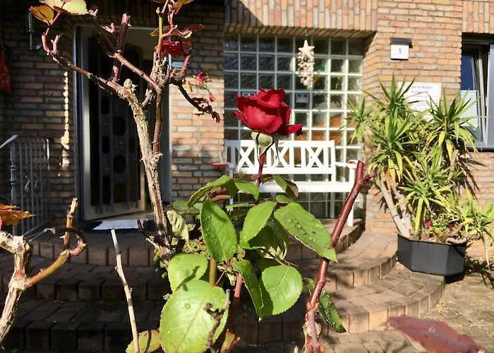 Lejlighed 1 A Loft 5 Pers Familie 100qm Terrasse Duesselkdorf Koeln Kaarst