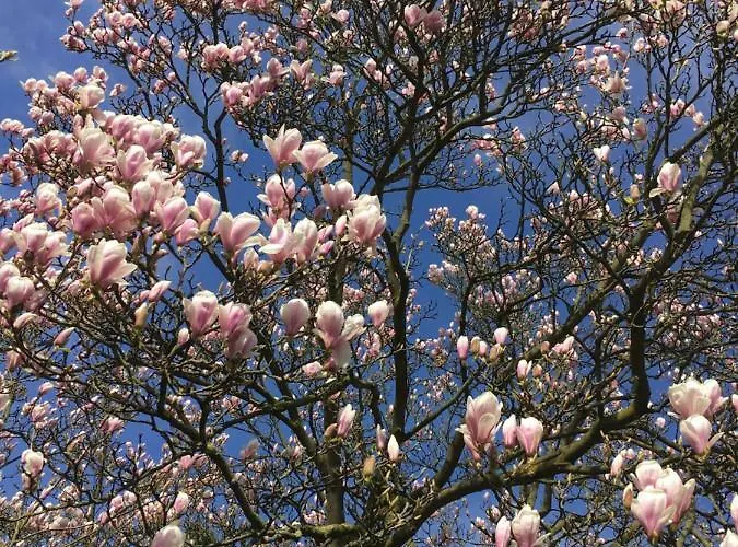 1 A Loft 5 Pers Familie 100qm Terrasse Duesselkdorf Koeln Lejlighed Kaarst