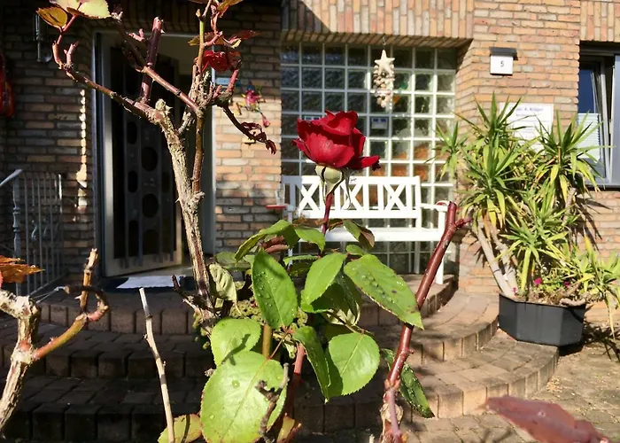 Lejlighed 1 A Loft 5 Pers Familie 100qm Terrasse Duesselkdorf Koeln